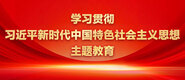 大鸡巴插b视频啊啊啊啊啊学习贯彻习近平新时代中国特色社会主义思想主题教育_fororder_ad-371X160(2)